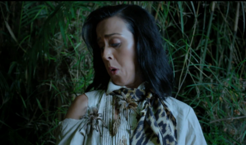 Katy Perry Roar video