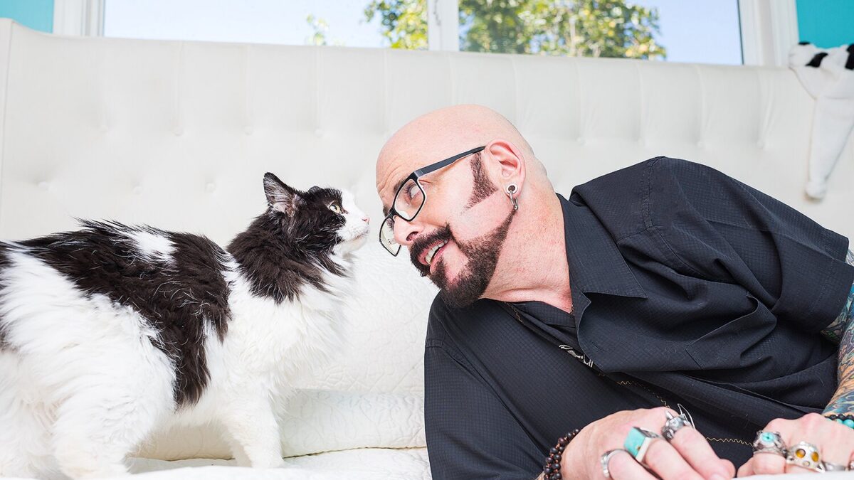 Il mio gatto è indemoniato: Quarantine Edition, lo spin-off ai tempi del Covid