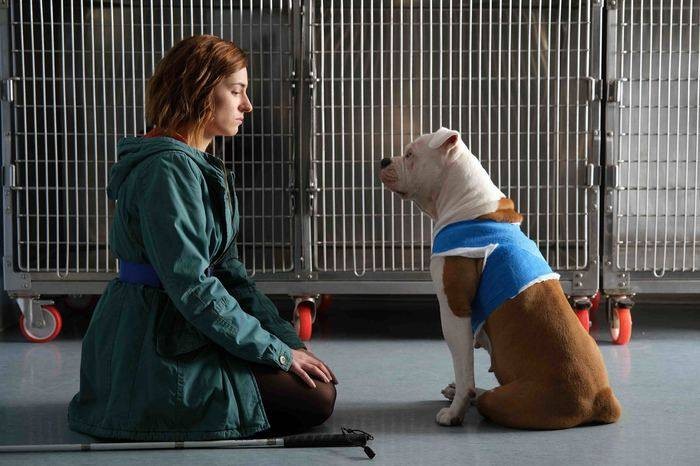 Blanca 2 si farà: cosa sappiamo su quando va in onda, trama e cast della seconda stagione